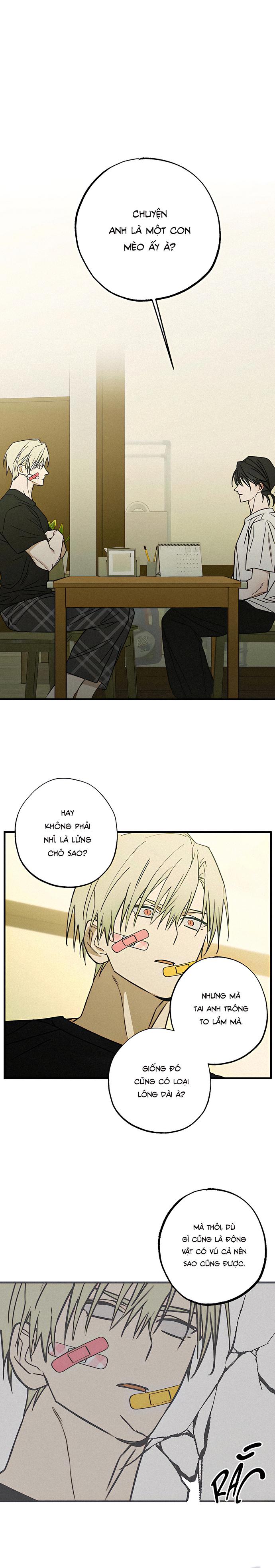 Đọc truyện Chứng Nhận Quan Hệ Gia Đình - Chapter 4