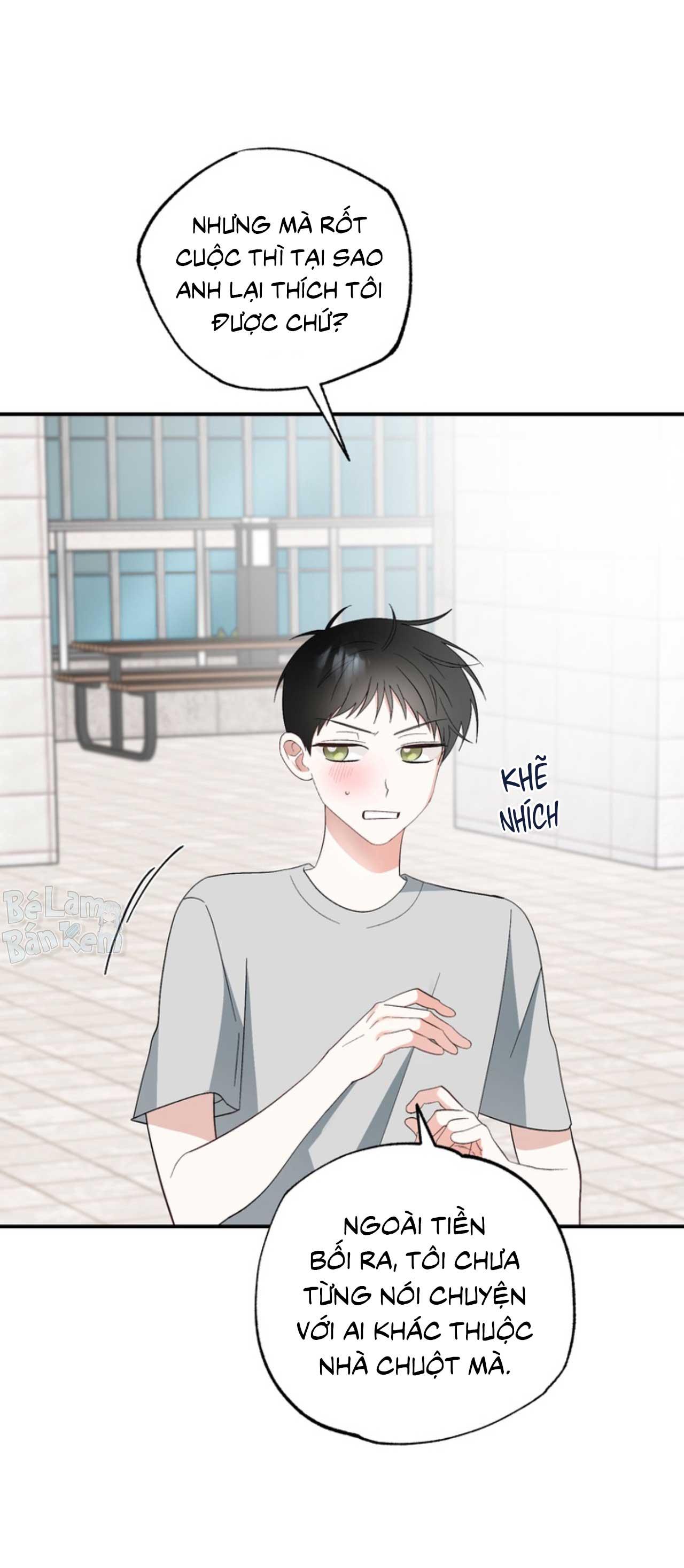 Đọc truyện XIN HÃY YÊU THƯƠNG DÙ TÔI LÀ CHUỘT - Chapter 4