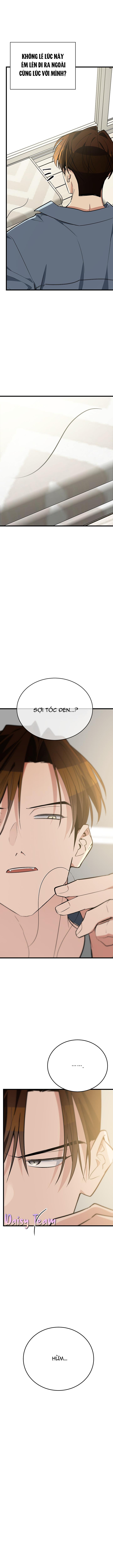 Đọc truyện (Daisy) Sinh mèo con cho tôi mau trước khi thằng này điên lên - Chapter 9