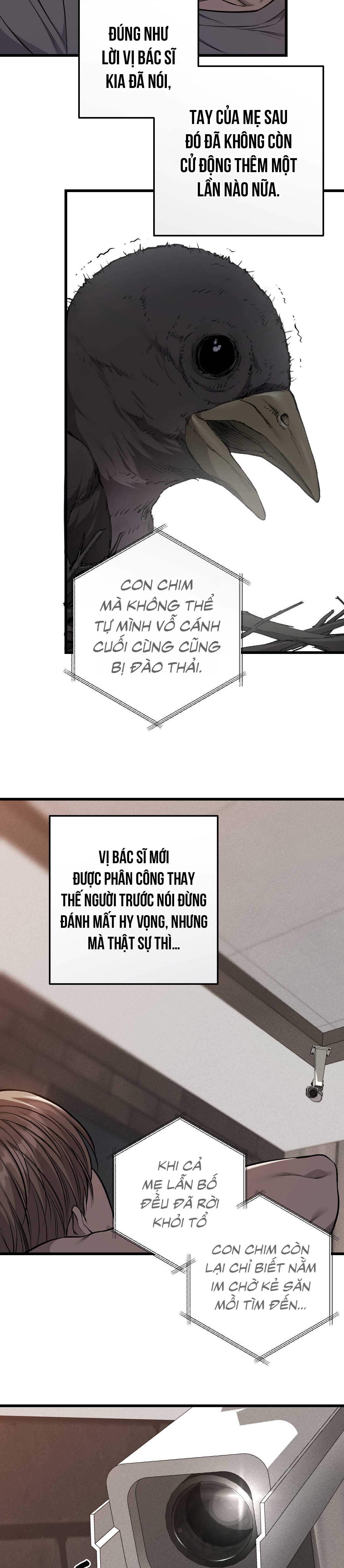 Đọc truyện XX ĐÊ TIỆN - Chapter 61