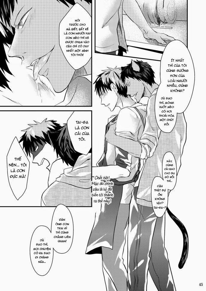 Đọc truyện Oneshot hỏny - Chapter 423