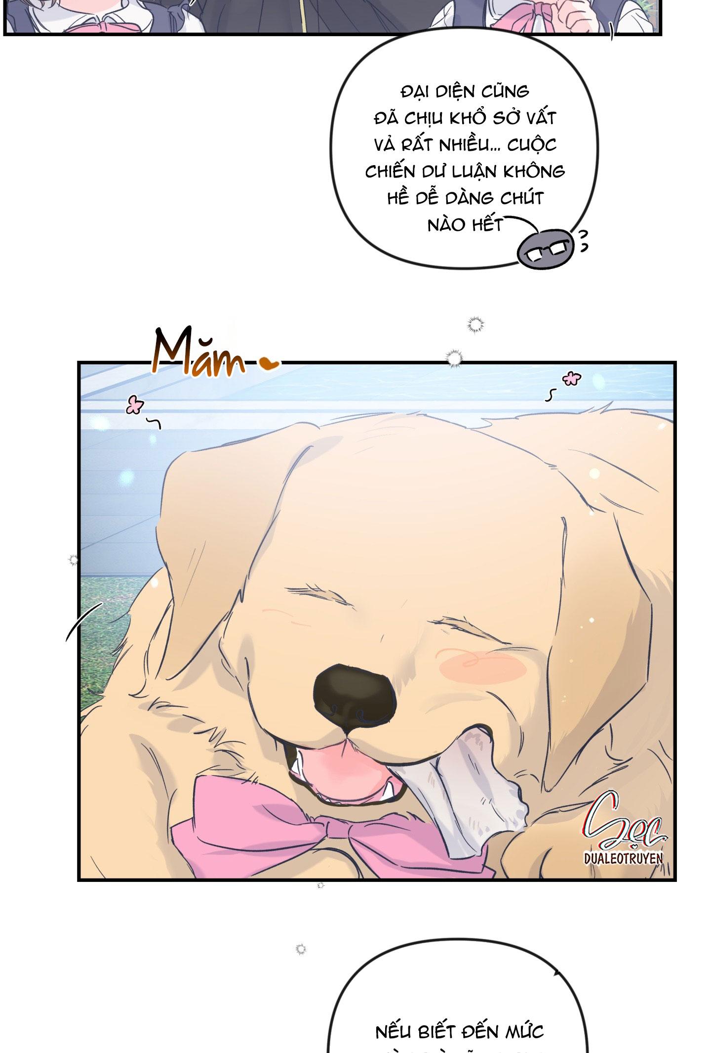 Đọc truyện ĐẢO NGƯỢC CỦA ĐẢO NGƯỢC - Chapter 66