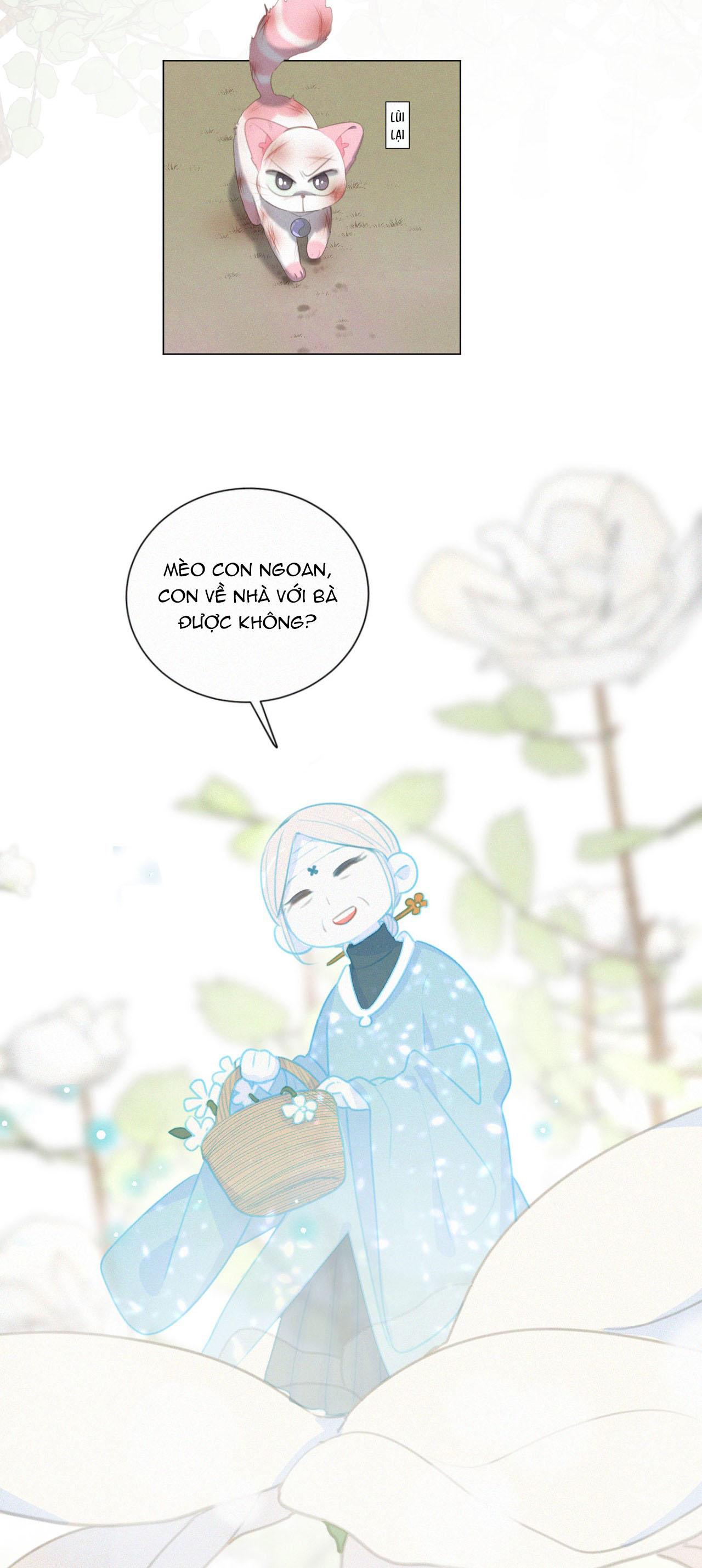Đọc truyện Xã Hội Mồn Lèo - Chapter 84