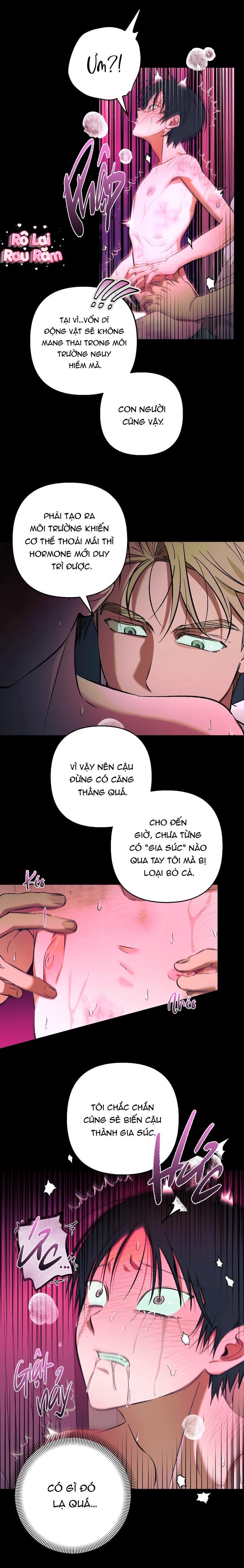 Đọc truyện Tiệm bánh nóng bỏng - Chapter 20