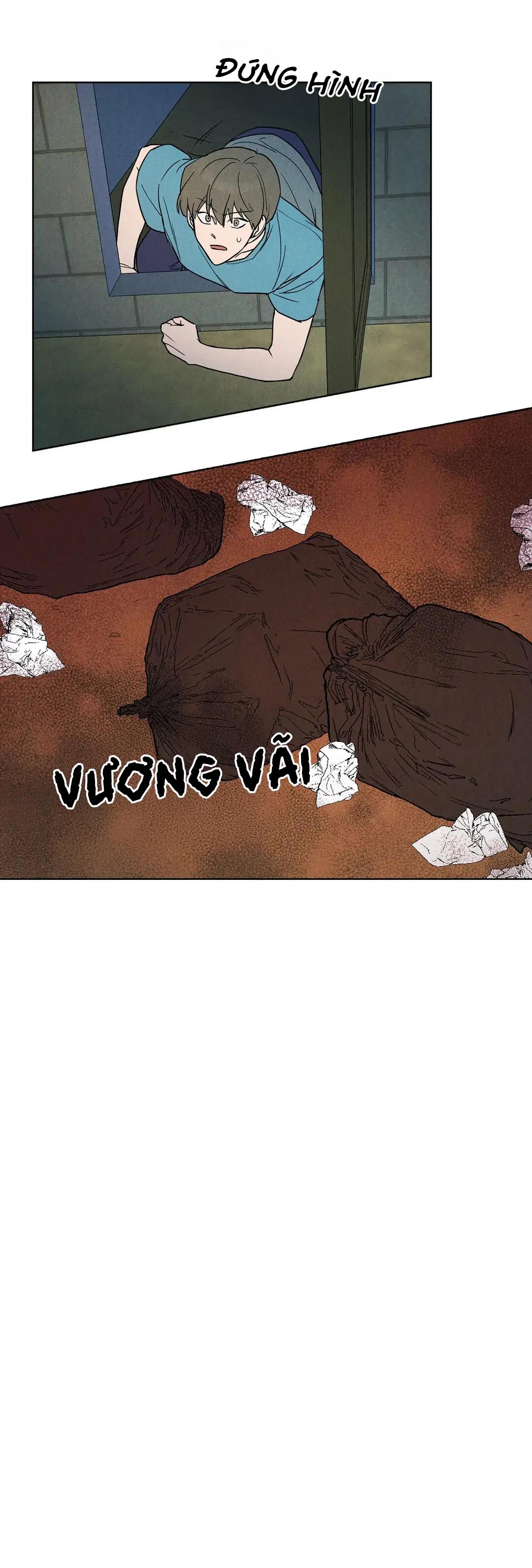 Đọc truyện Một Bó Rau Chân Vịt - Chapter 5