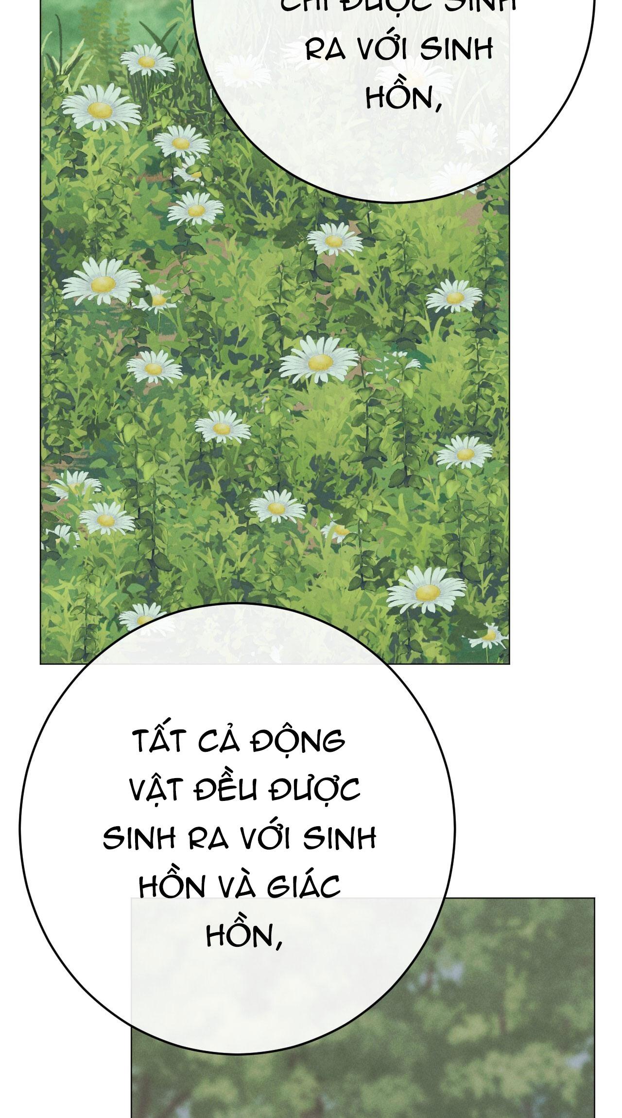 Đọc truyện QUẺ BÓI GIẤC MƠ CỦA YÊU TINH - Chapter 58