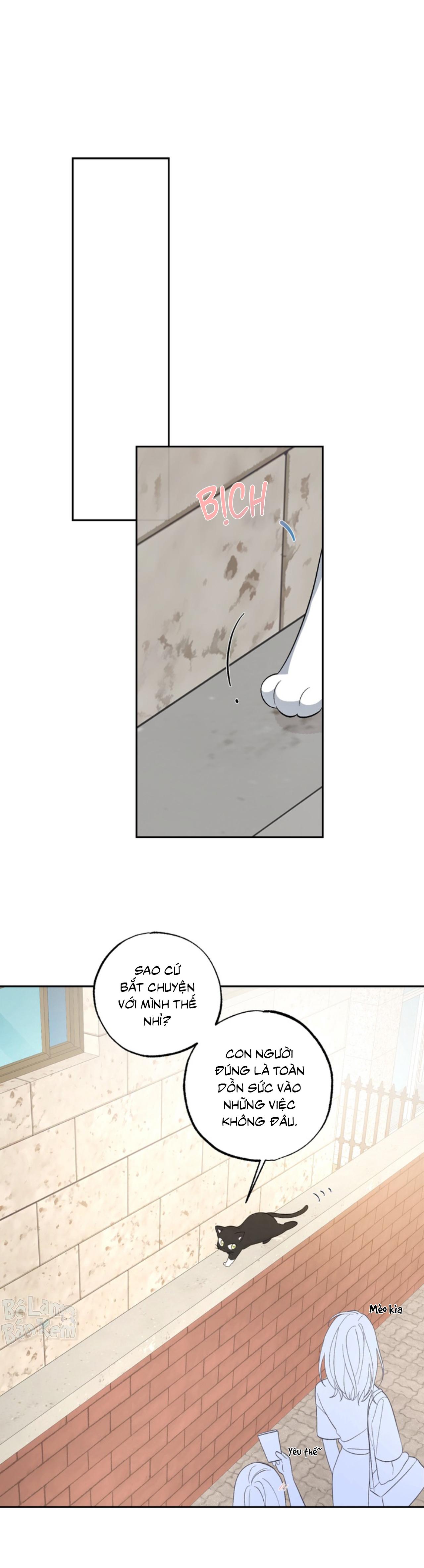 Đọc truyện XIN HÃY YÊU THƯƠNG DÙ TÔI LÀ CHUỘT - Chapter 5