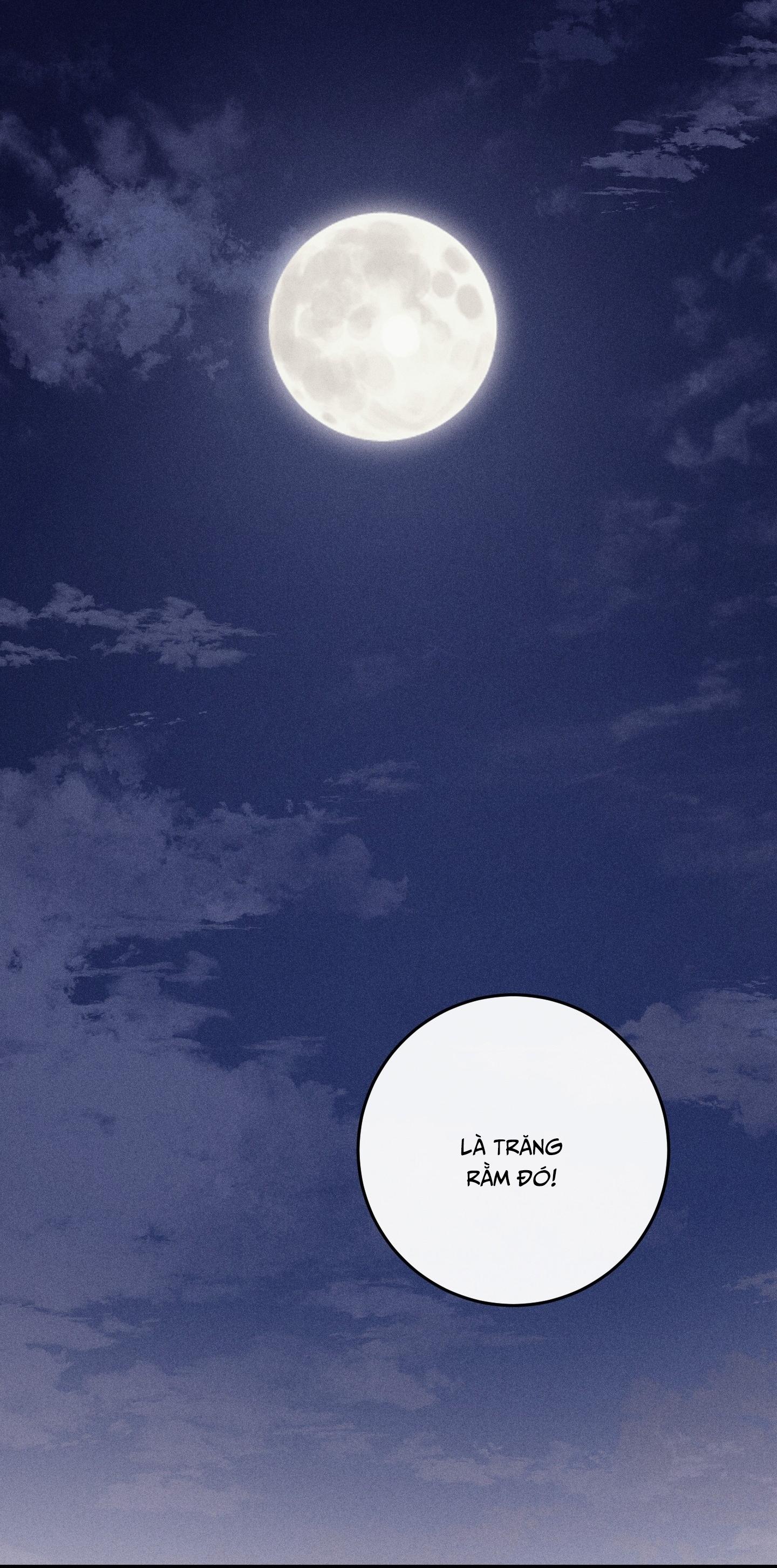 Đọc truyện QUAN HỆ CỘNG SINH CỦA MẶT TRĂNG VÀ MẶT TRỜI - Chapter 55