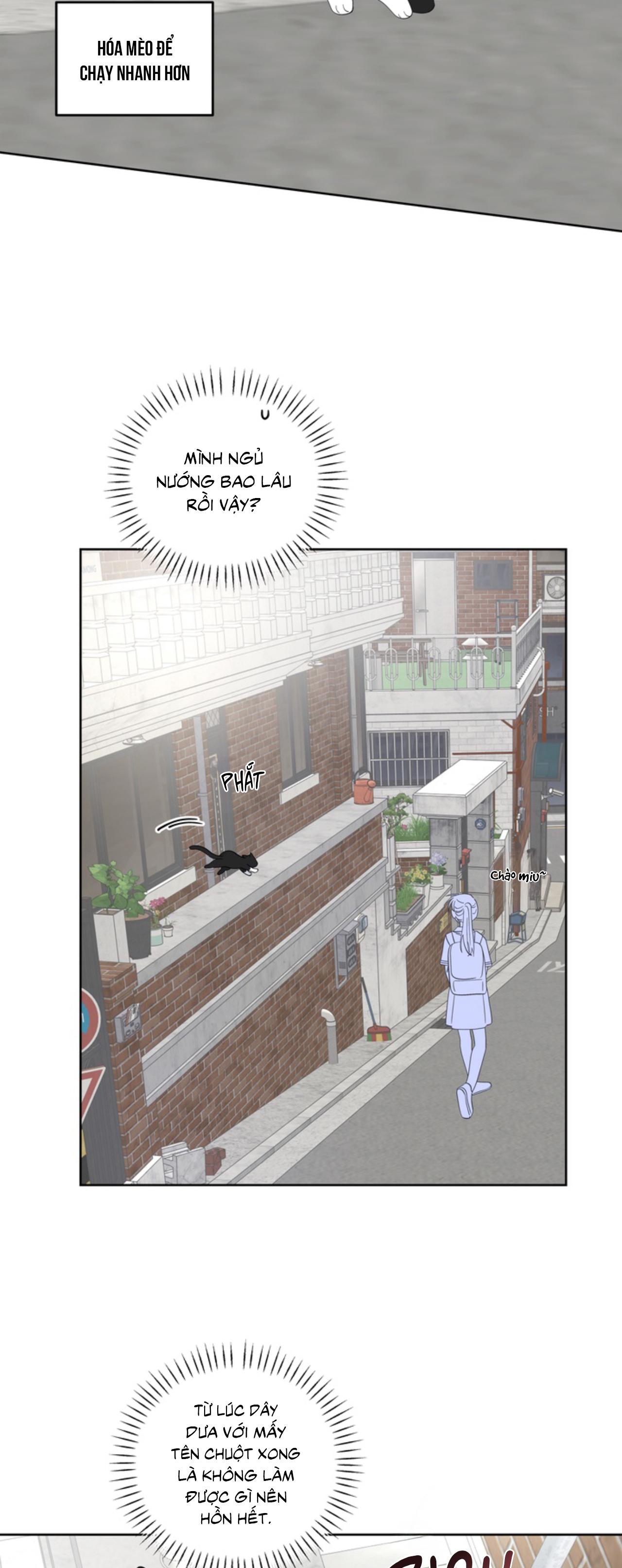 Đọc truyện XIN HÃY YÊU THƯƠNG DÙ TÔI LÀ CHUỘT - Chapter 6