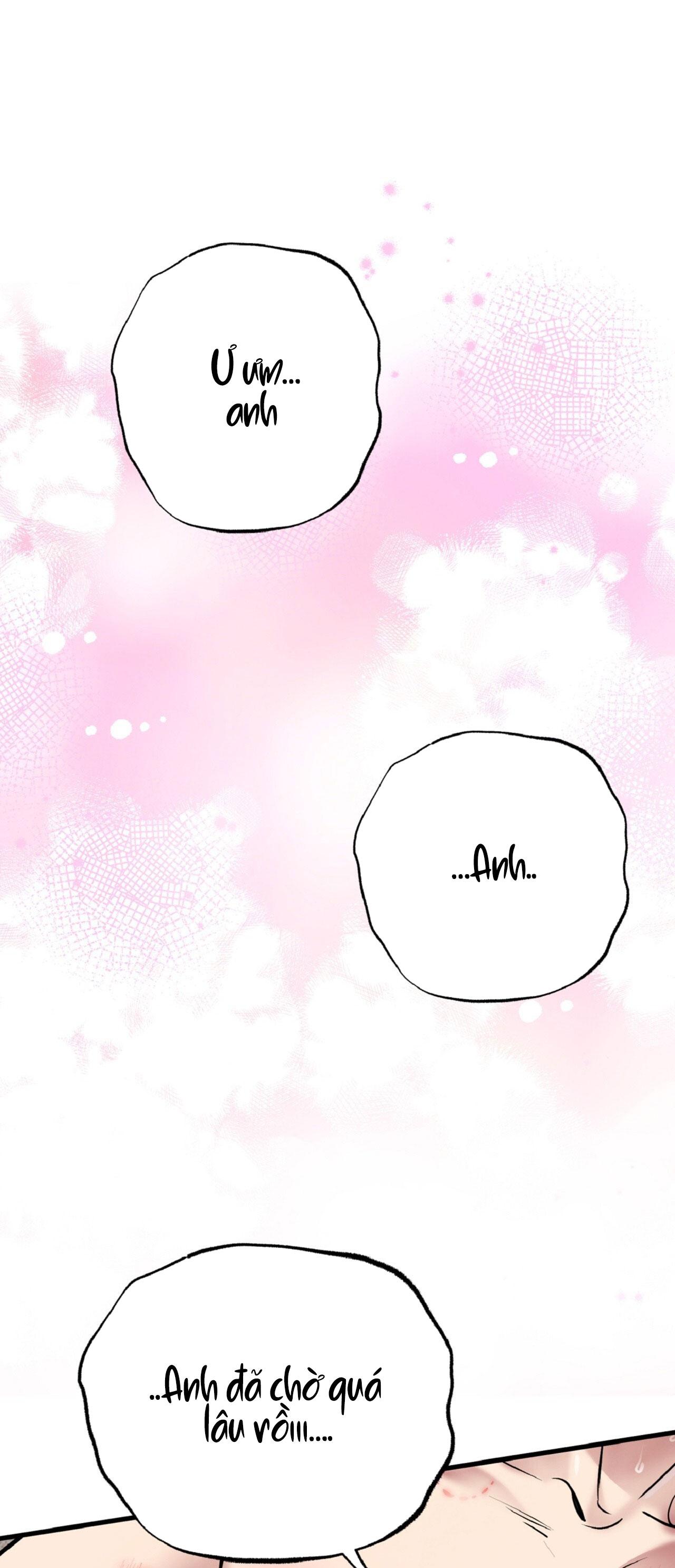 Đọc truyện HONEY BEAR - Chapter 66