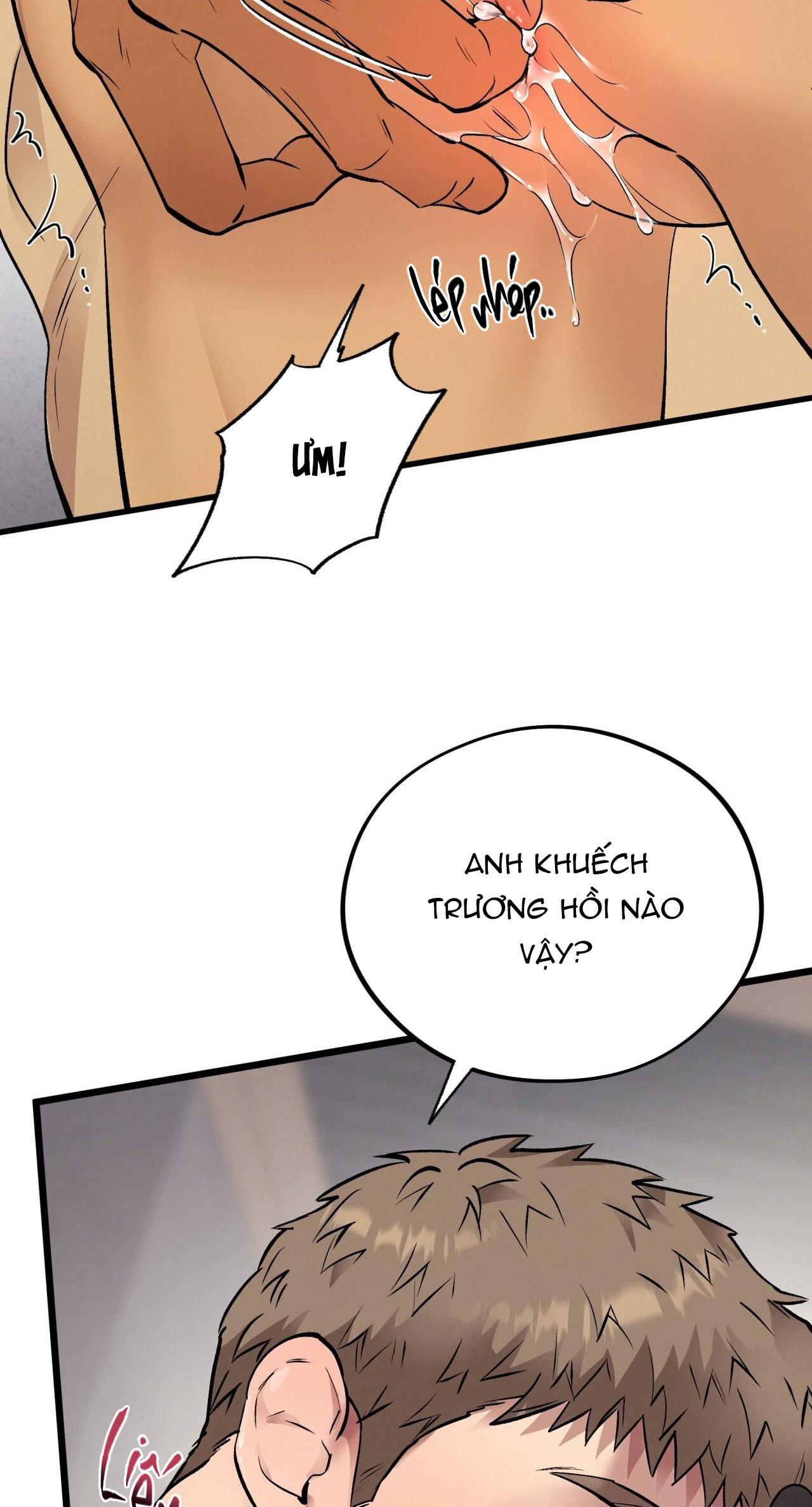 Đọc truyện HONEY BEAR - Chapter 65