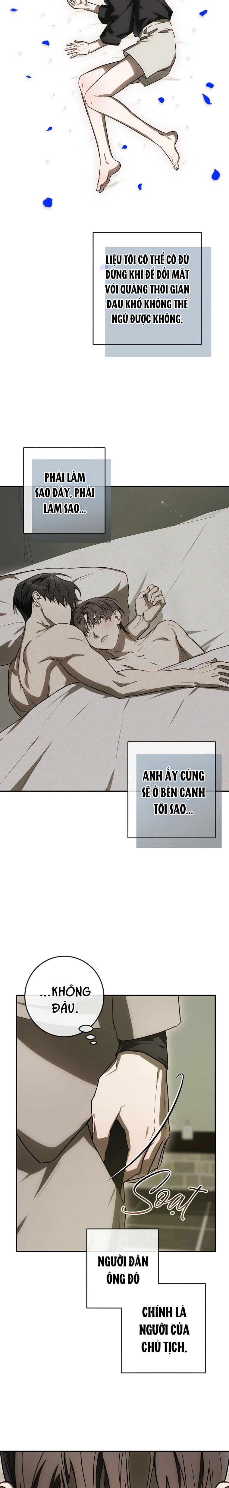 Đọc truyện BẢO VẬT - Chapter 35