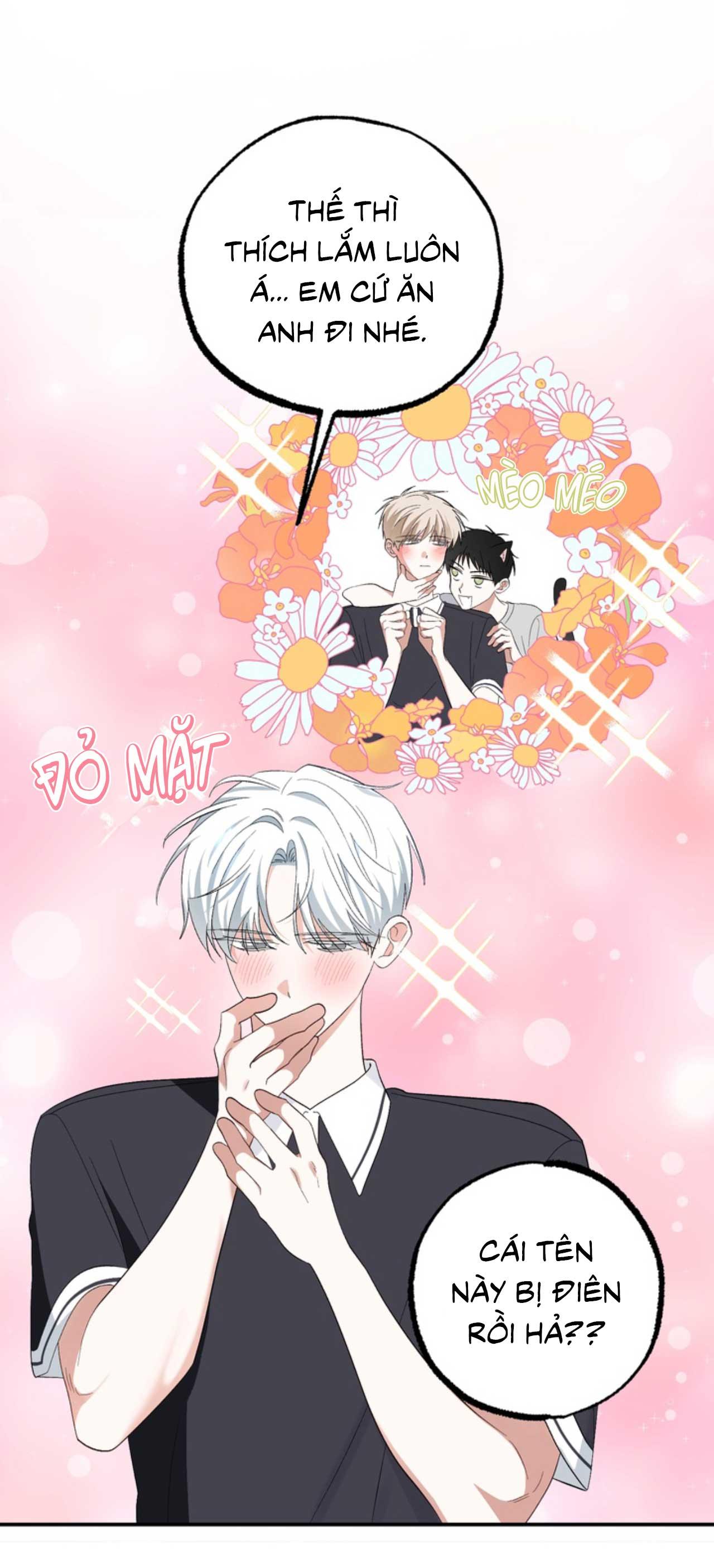 Đọc truyện XIN HÃY YÊU THƯƠNG DÙ TÔI LÀ CHUỘT - Chapter 4