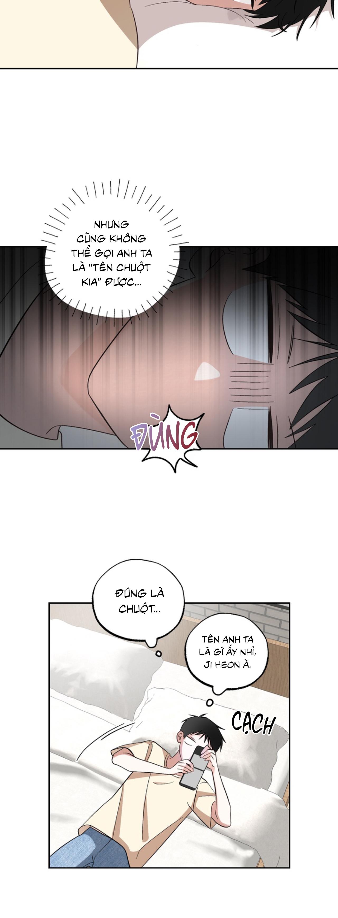 Đọc truyện XIN HÃY YÊU THƯƠNG DÙ TÔI LÀ CHUỘT - Chapter 5