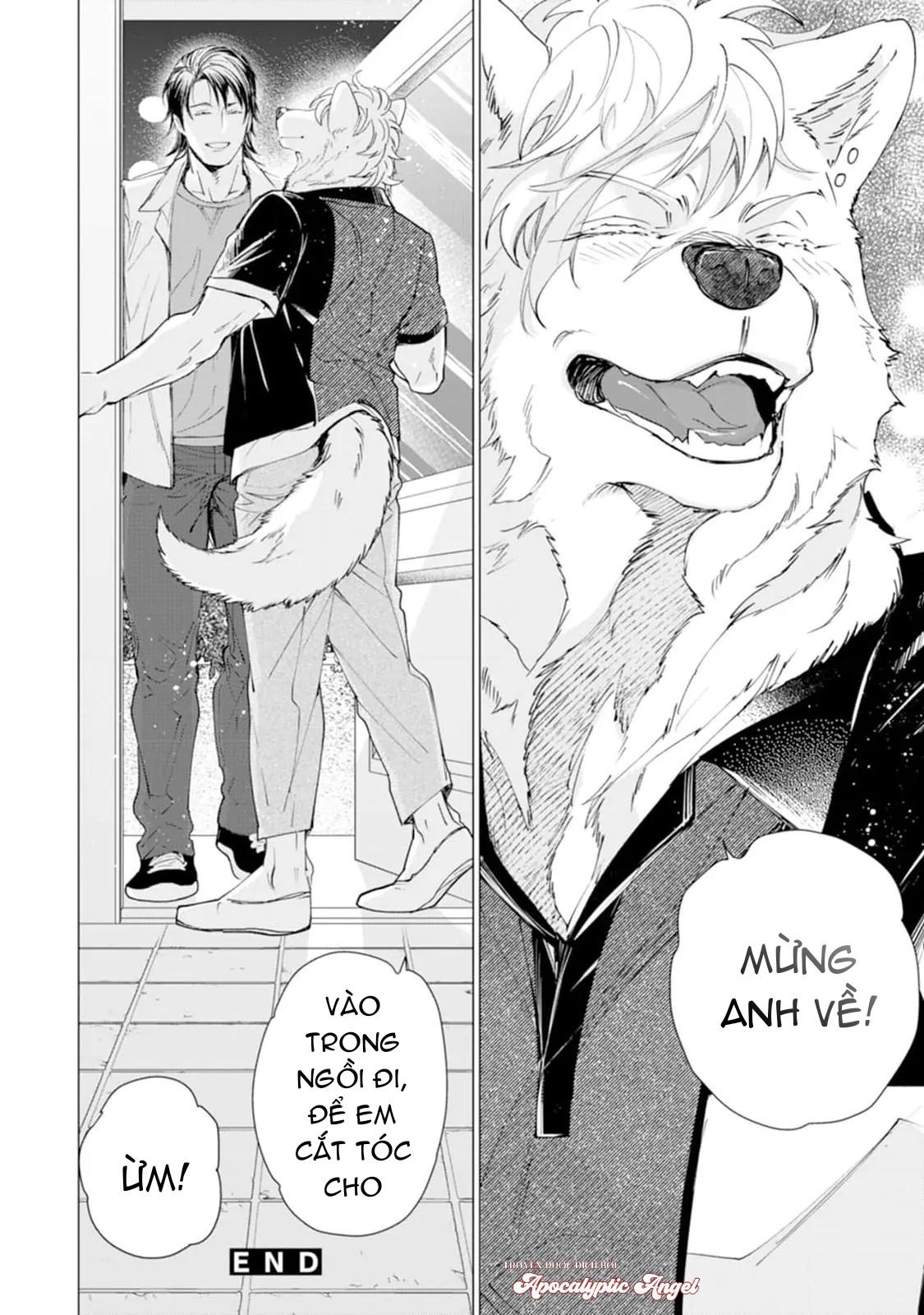 Đọc truyện Bánh Quy Nhân Socola - Chapter 5