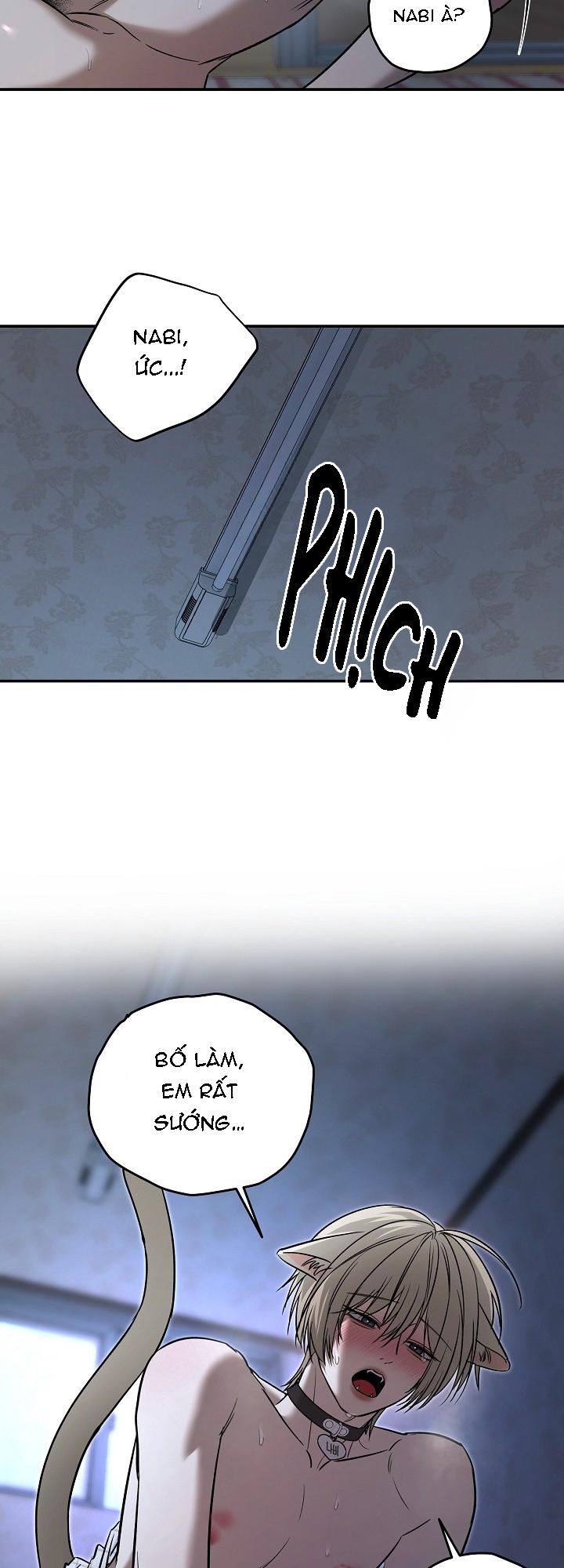 Đọc truyện BỐ VÀ TÔI - Chapter 5