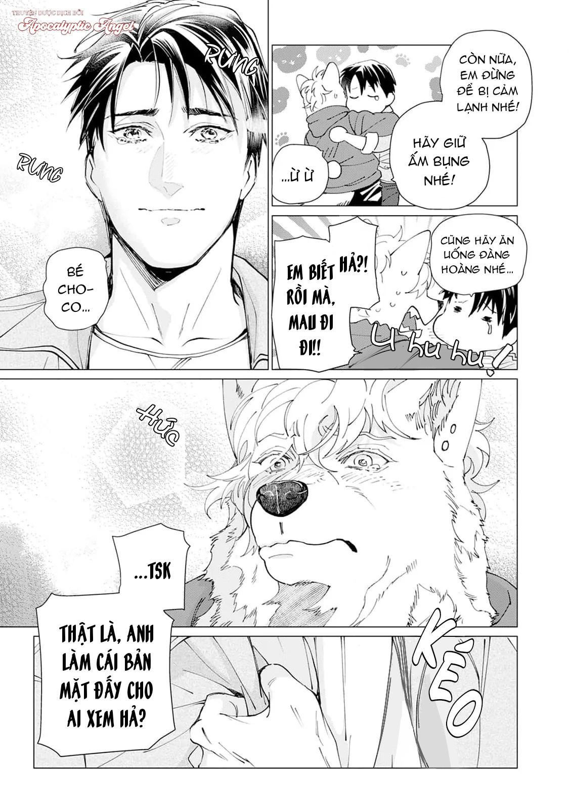 Đọc truyện Bánh Quy Nhân Socola - Chapter 5