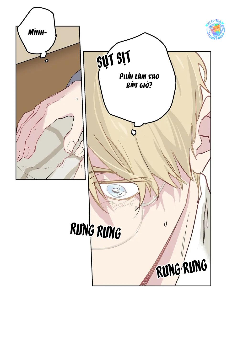 Đọc truyện Phù Thủy Xứ Eden - Chapter 16