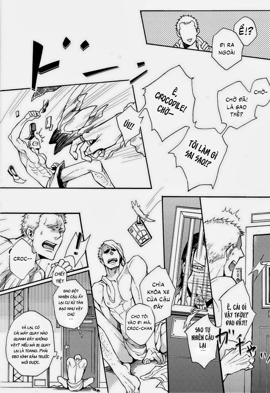 Đọc truyện Tuyển tập Onepiece - Chapter 17