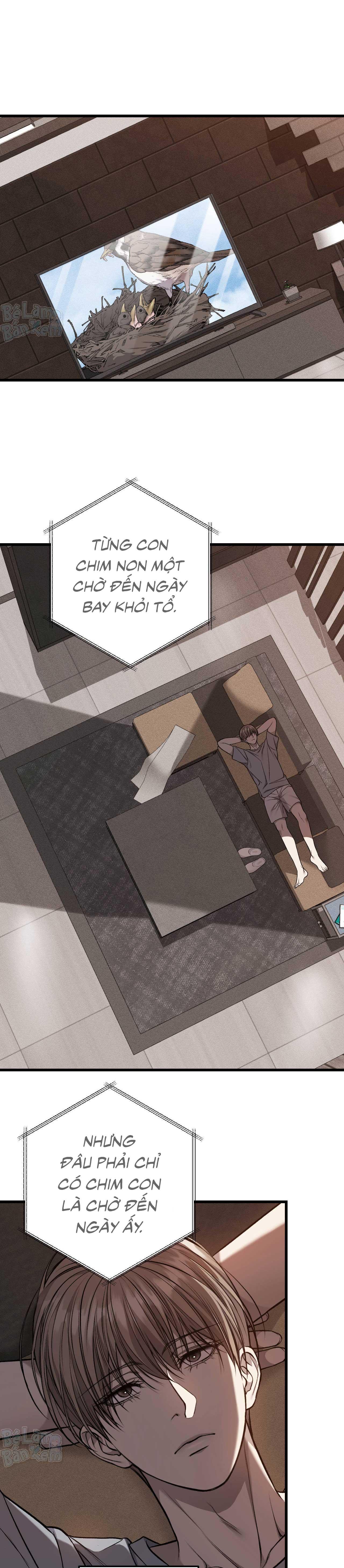 Đọc truyện XX ĐÊ TIỆN - Chapter 61