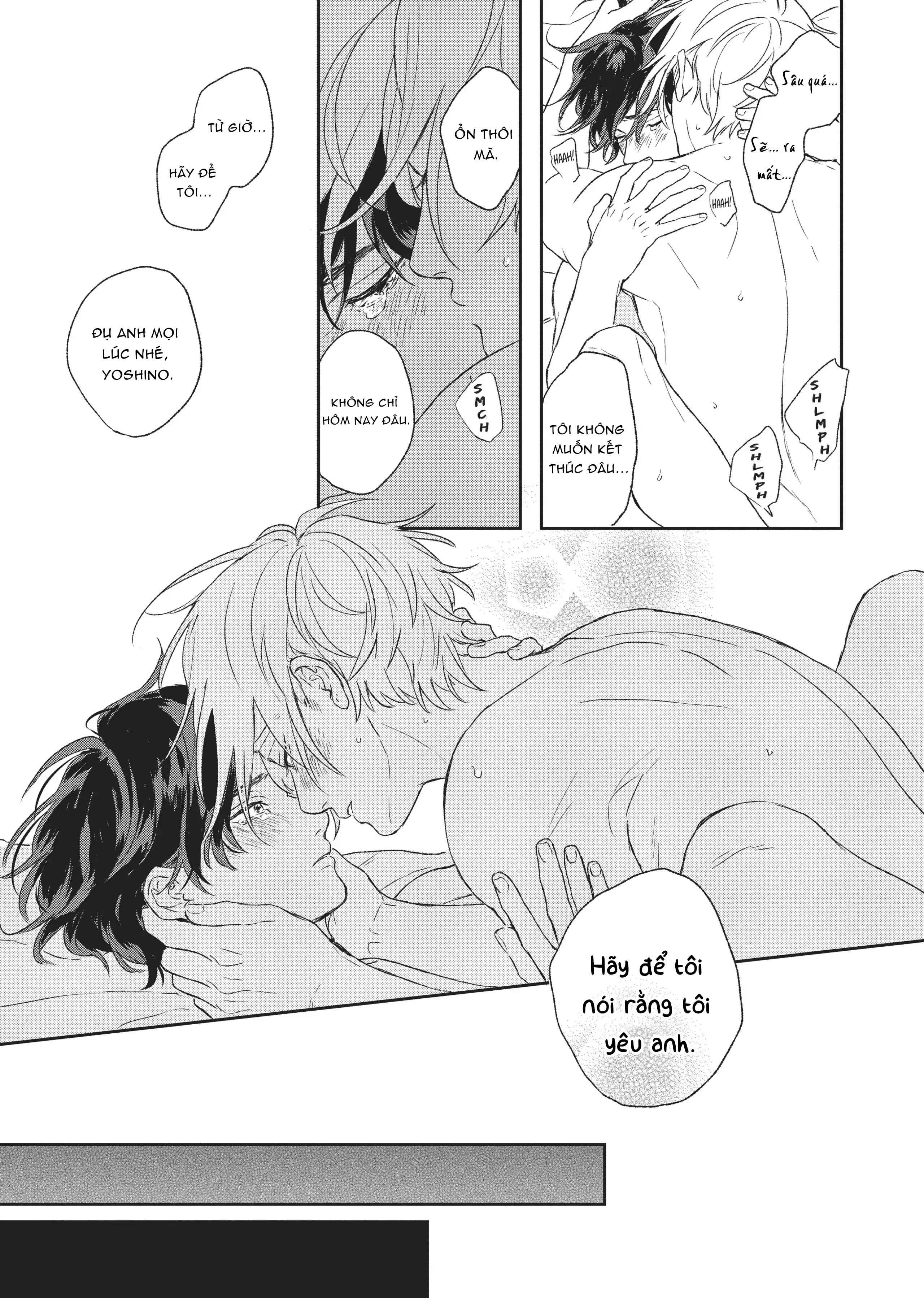 Đọc truyện Tôi Đâu Định Yêu Cậu - Chapter 5