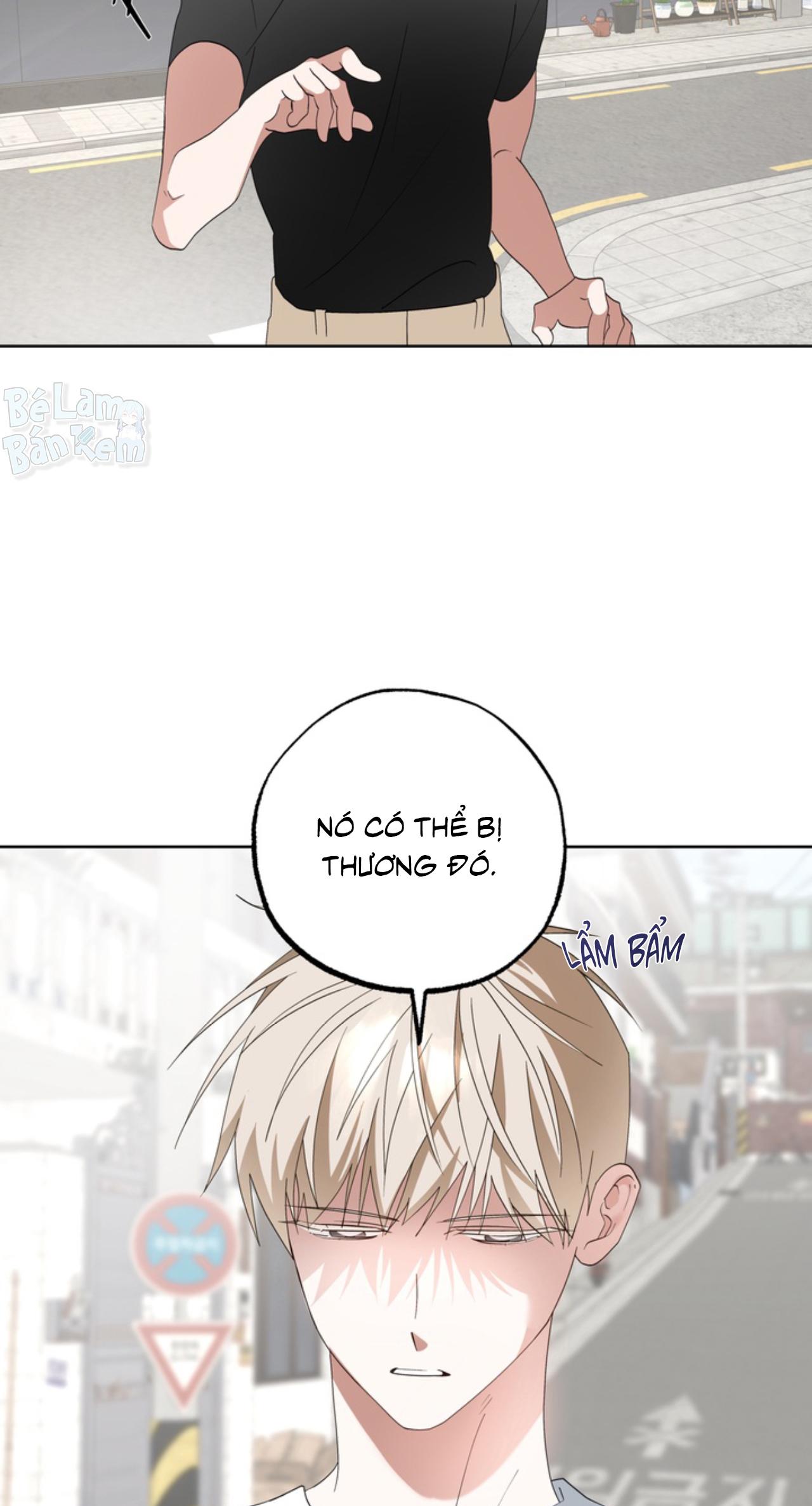 Đọc truyện XIN HÃY YÊU THƯƠNG DÙ TÔI LÀ CHUỘT - Chapter 6