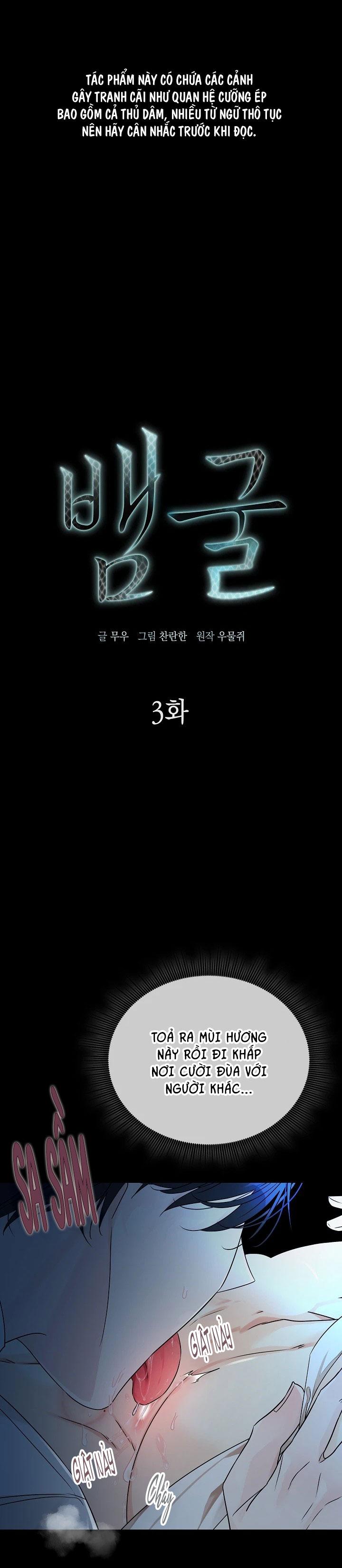 Đọc truyện HANG RẮN - Chapter 3