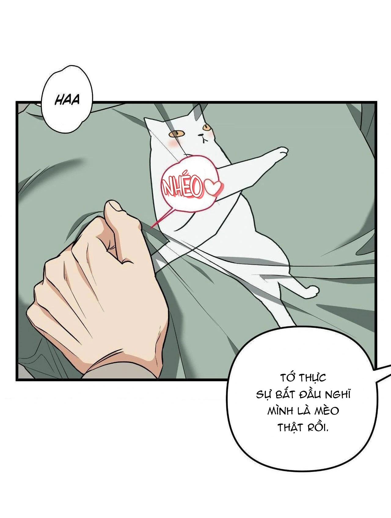 Đọc truyện Bốt Hôn - Chapter 5
