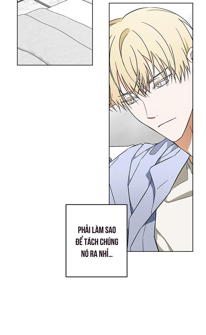 Đọc truyện [DDT] CHIẾN LƯỢC ĐOẠT TÂM CỦA CUỘC TÌNH ĐƠN PHƯƠNG - Chapter 9