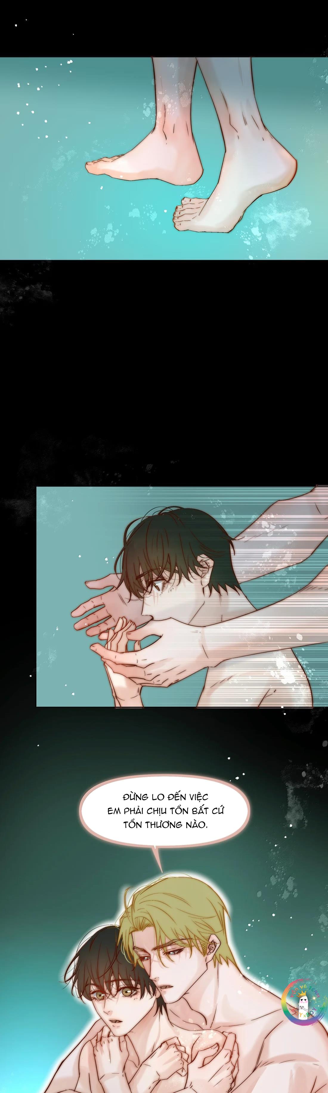 Trỗi Dậy Từ Tro Tàn -  - Trang 6