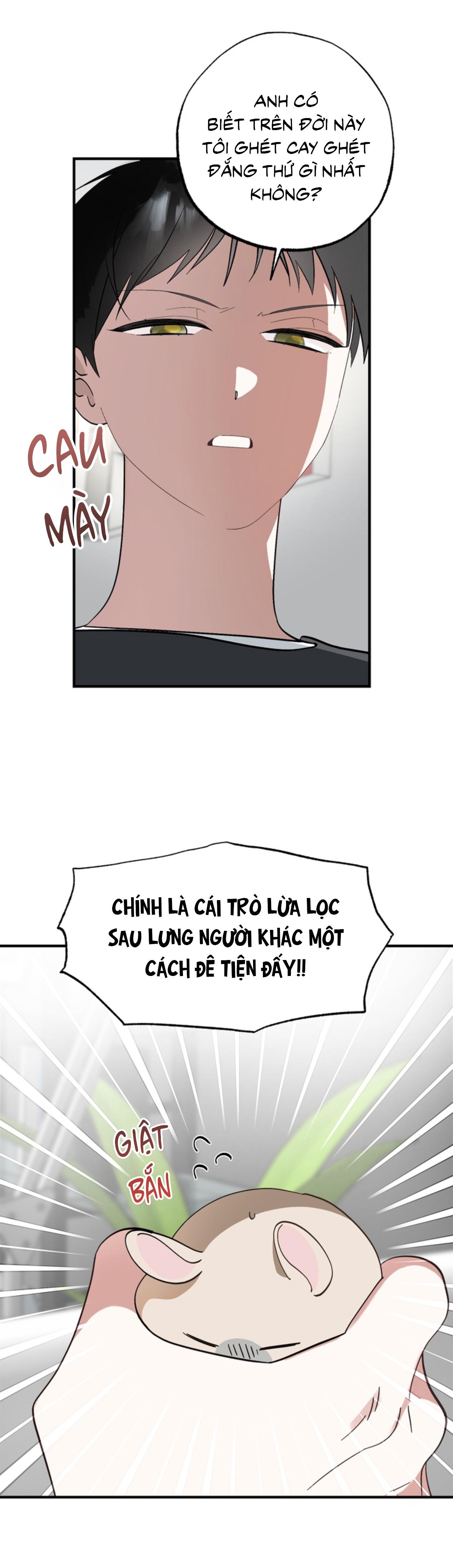 Đọc truyện XIN HÃY YÊU THƯƠNG DÙ TÔI LÀ CHUỘT - Chapter 3