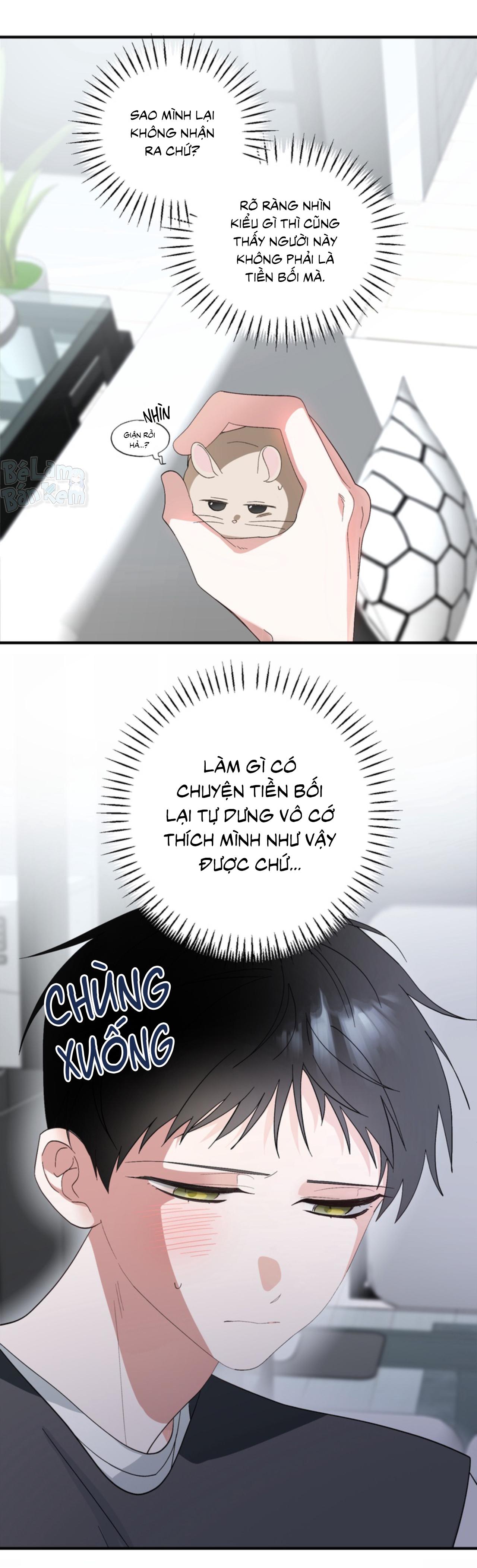 Đọc truyện XIN HÃY YÊU THƯƠNG DÙ TÔI LÀ CHUỘT - Chapter 3