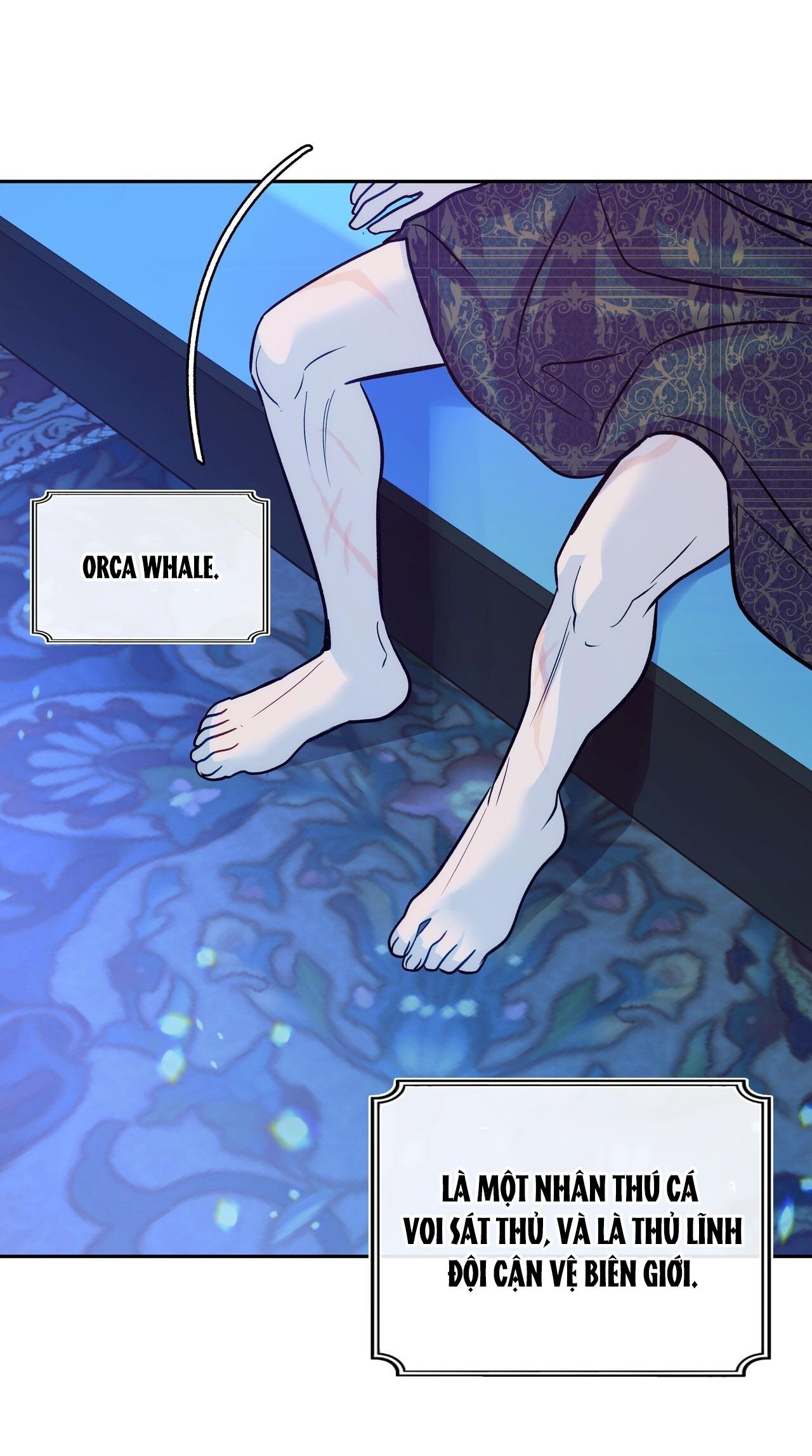 Đọc truyện ORCA MANSION - Chapter 1