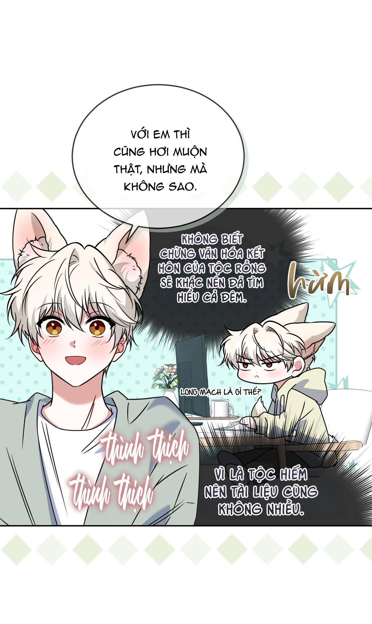 Đọc truyện NƯỚC UỐNG TÌNH YÊU CỦA CÁO PLIN - Chapter 47