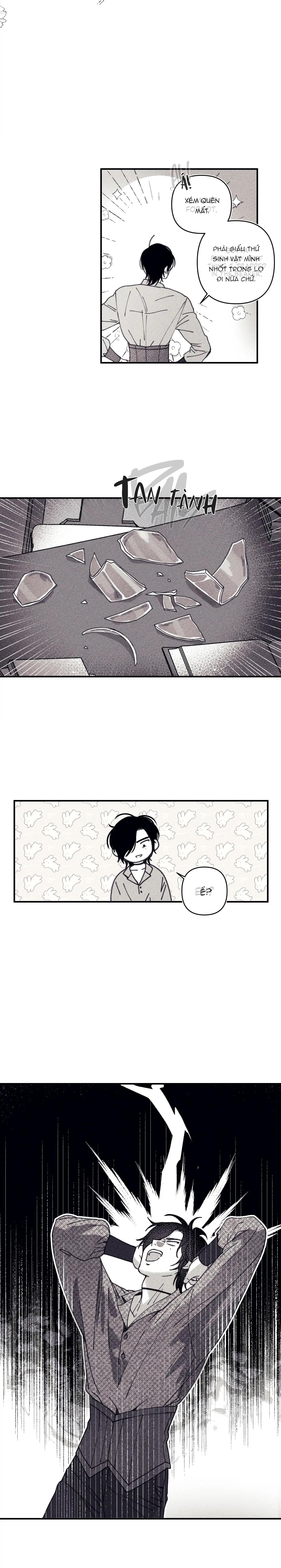Đọc truyện Bí Mật Của Casey - Chapter 1