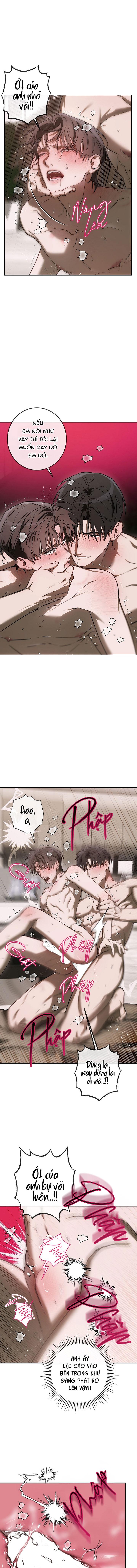 Đọc truyện BẢO VẬT - Chapter 33