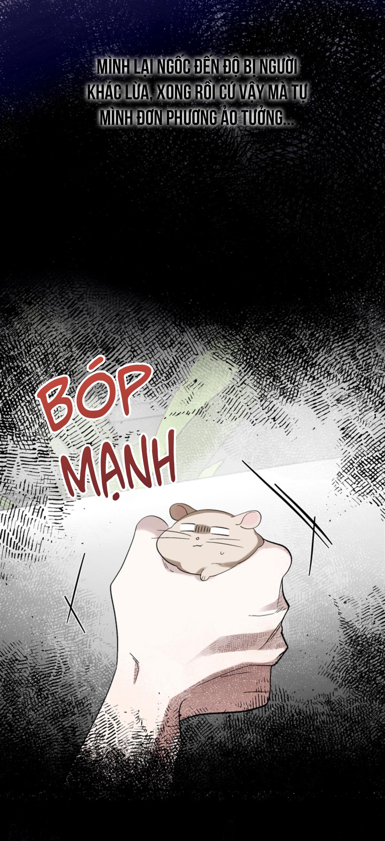 Đọc truyện XIN HÃY YÊU THƯƠNG DÙ TÔI LÀ CHUỘT - Chapter 3