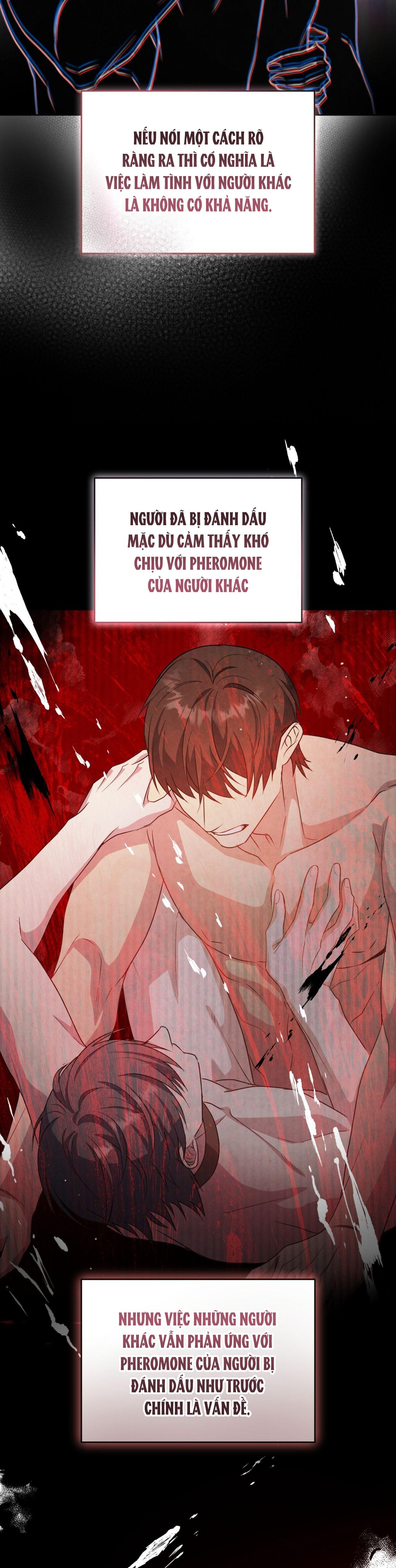 Đọc truyện THẾ GIỚI XUNG KHẮC - Chapter 8
