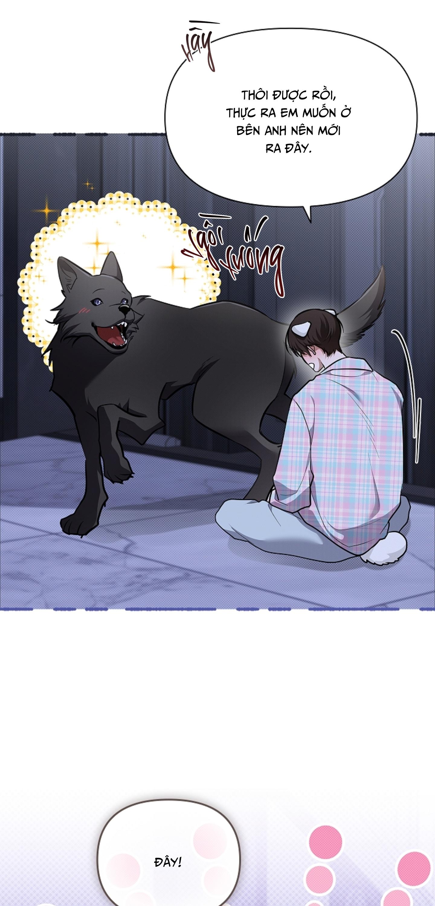 Đọc truyện ĐỪNG CHẠM VÀO CÚN CON CỦA TÔI - Chapter 50