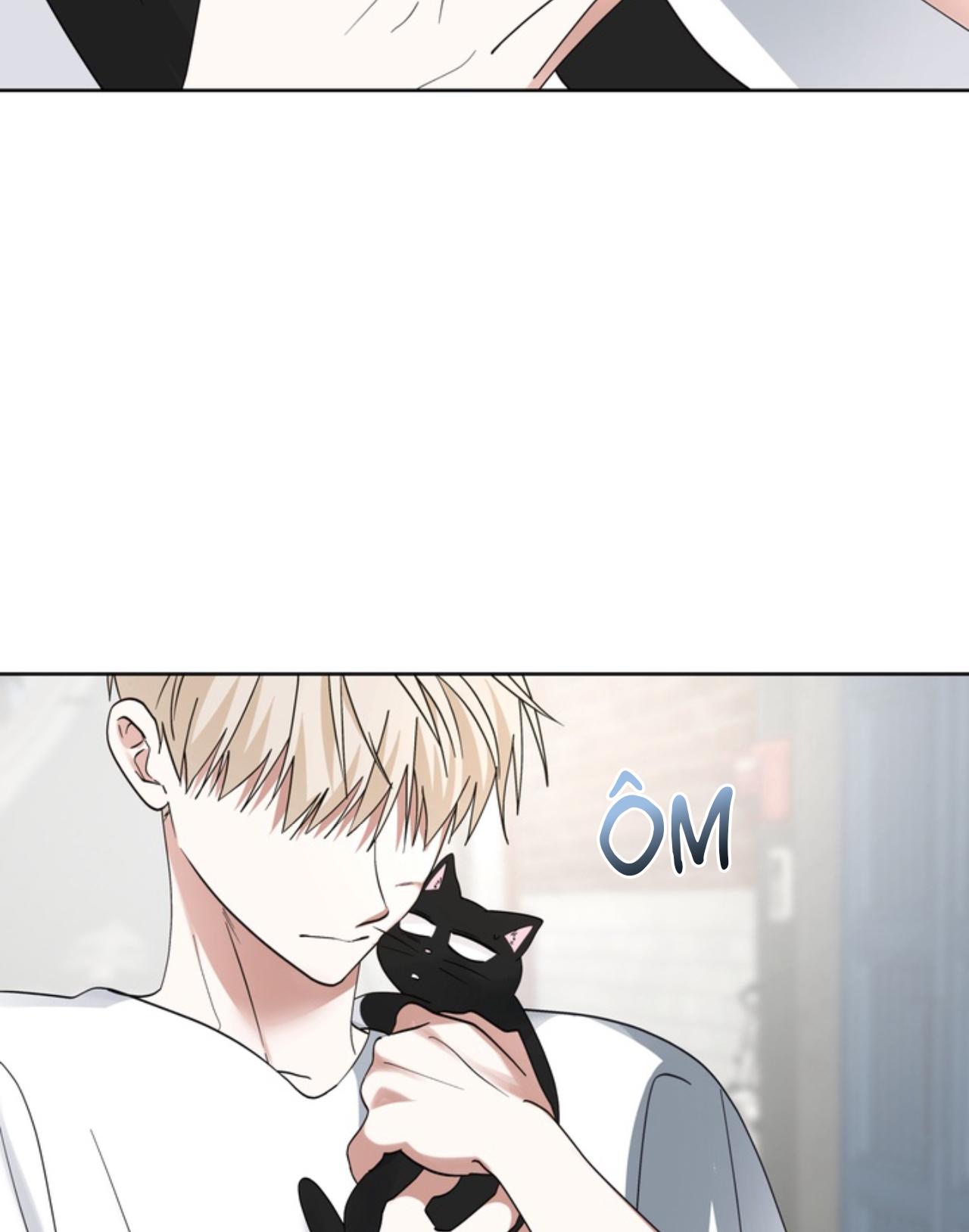 Đọc truyện XIN HÃY YÊU THƯƠNG DÙ TÔI LÀ CHUỘT - Chapter 6