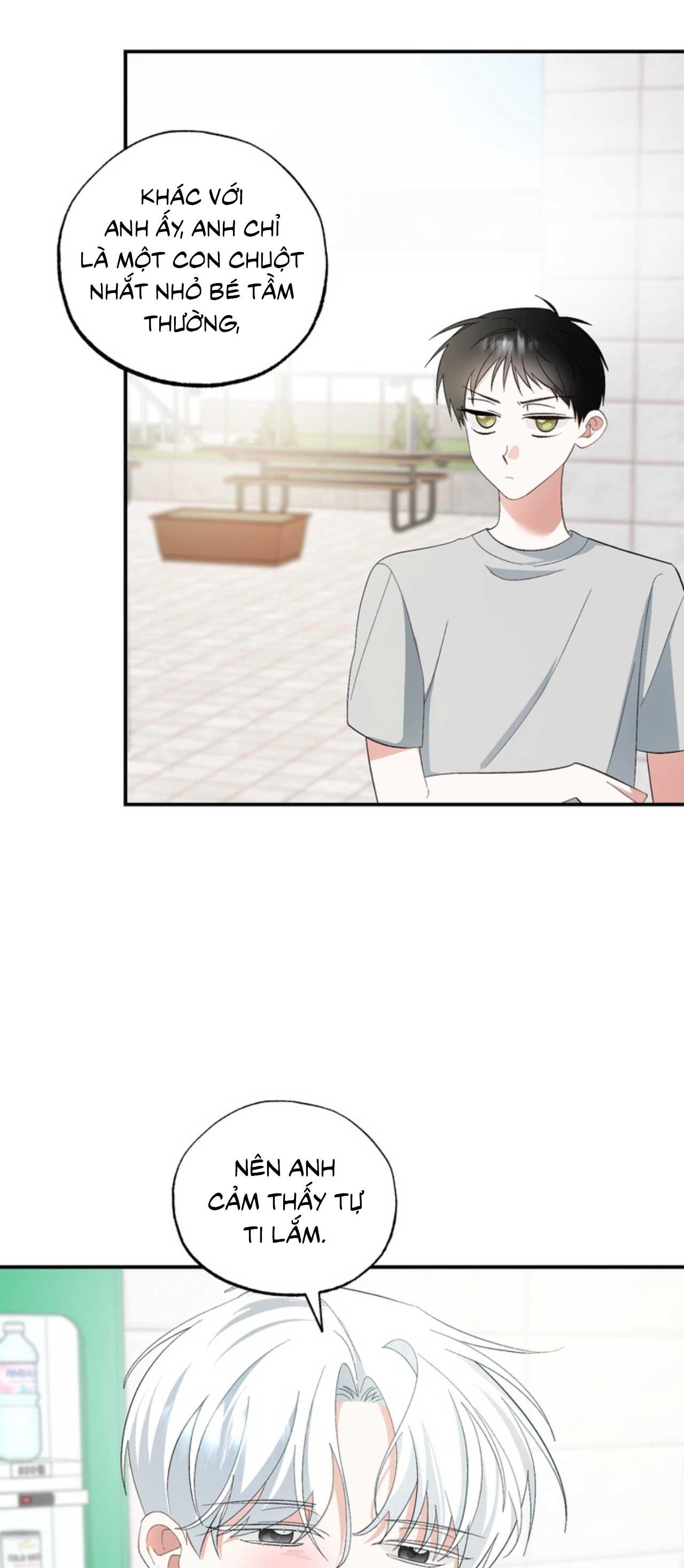 Đọc truyện XIN HÃY YÊU THƯƠNG DÙ TÔI LÀ CHUỘT - Chapter 4