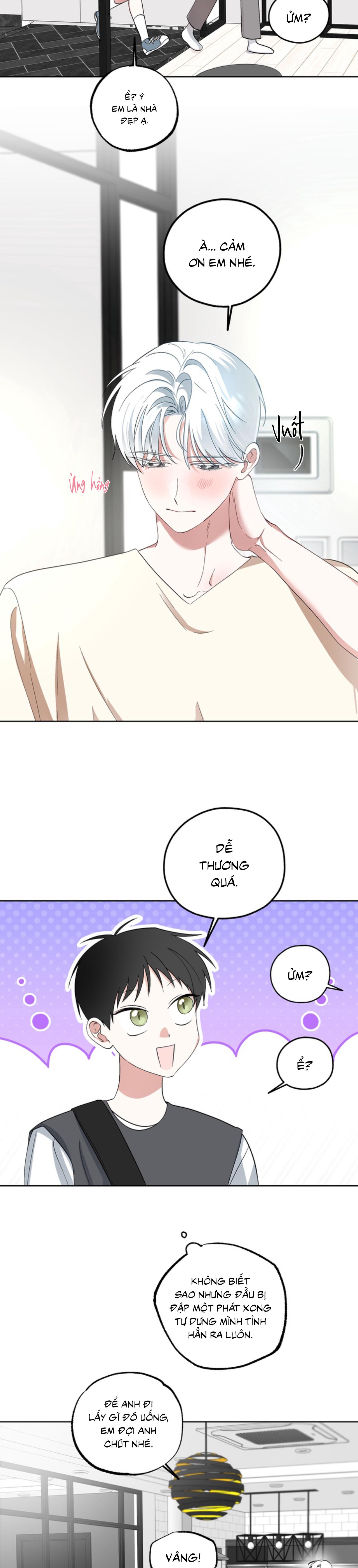Đọc truyện XIN HÃY YÊU THƯƠNG DÙ TÔI LÀ CHUỘT - Chapter 2