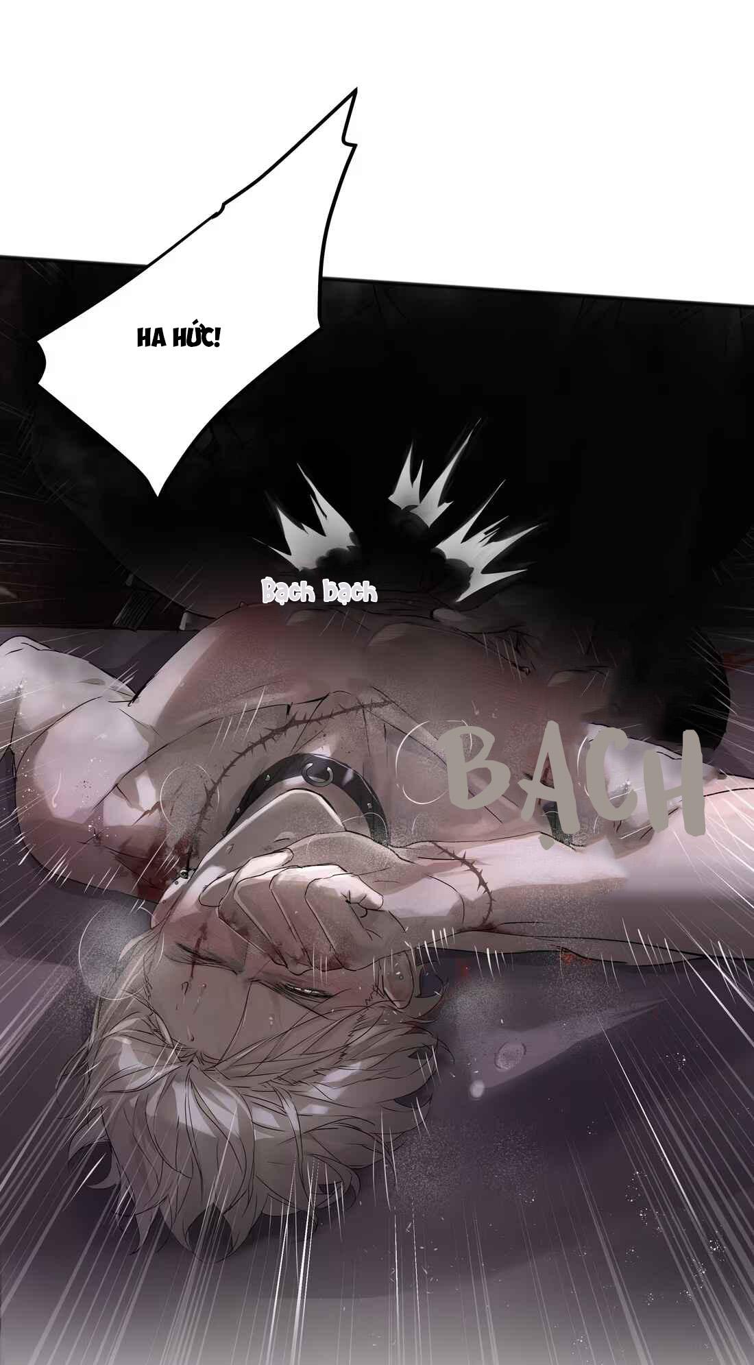 Đọc truyện (Daisy) Tôi Bị Chó Điên Phát Hiện Bản Thân Là Đồng Loại - Chapter 4