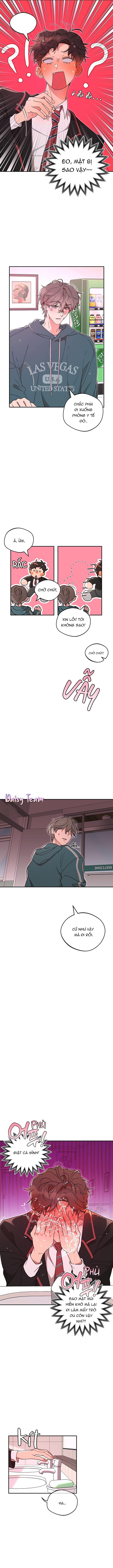 Đọc truyện (Daisy) Ánh Đèn Mờ Ảo​ - Chapter 2