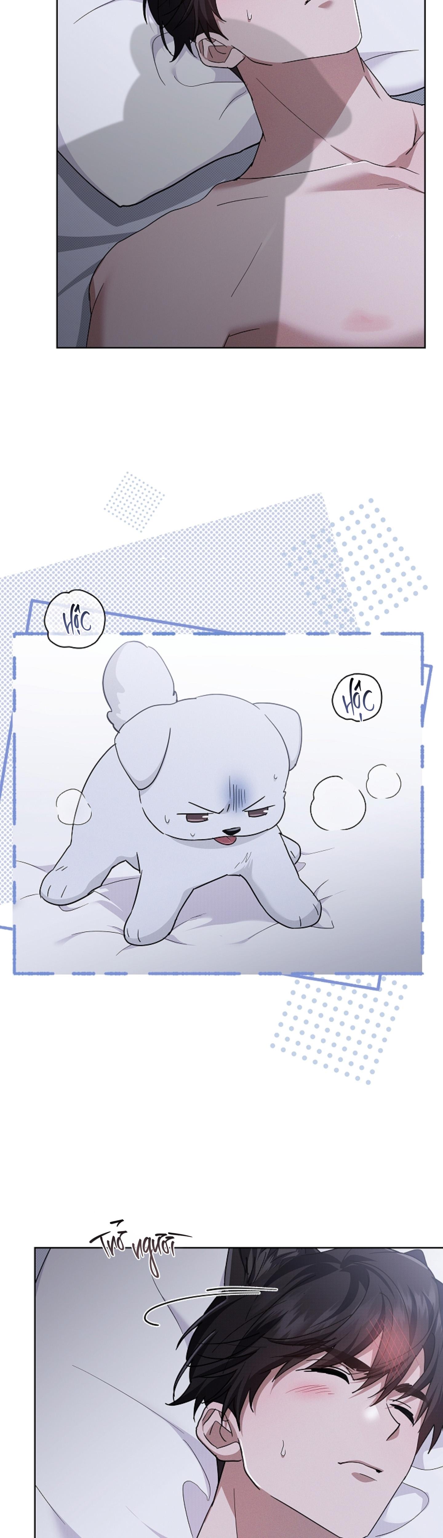 Đọc truyện ĐỪNG CHẠM VÀO CÚN CON CỦA TÔI - Chapter 49