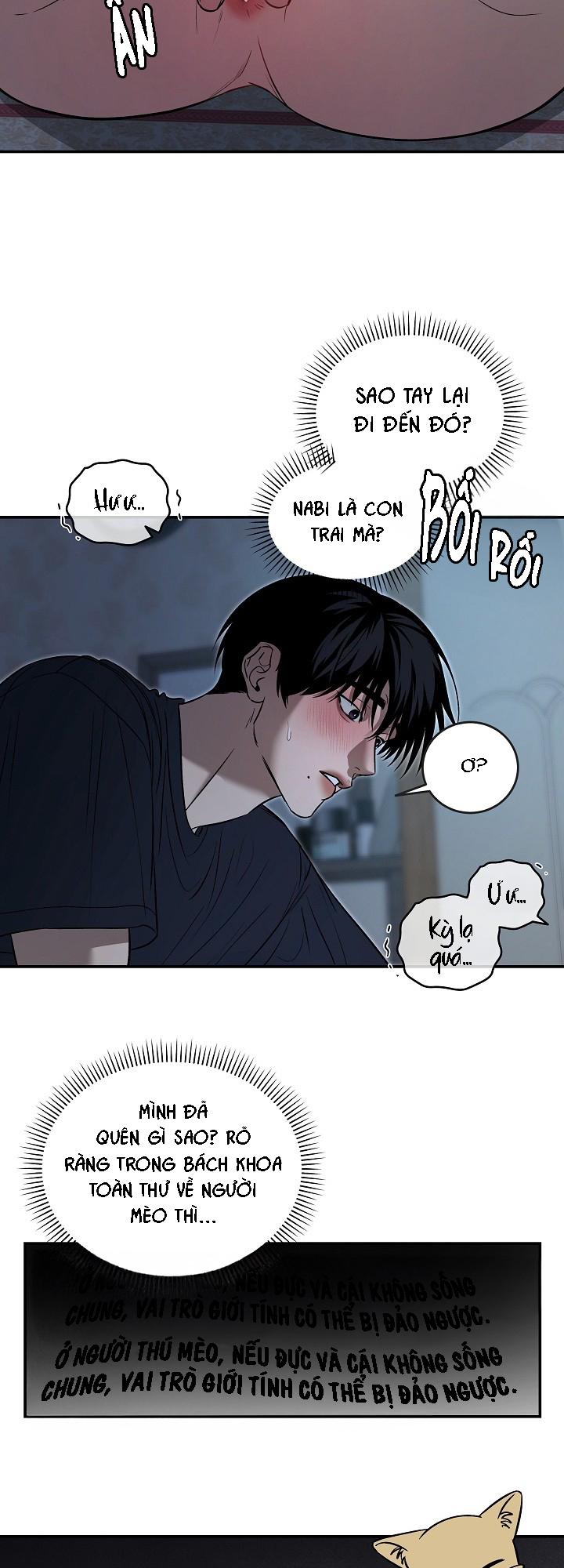 Đọc truyện BỐ VÀ TÔI - Chapter 5