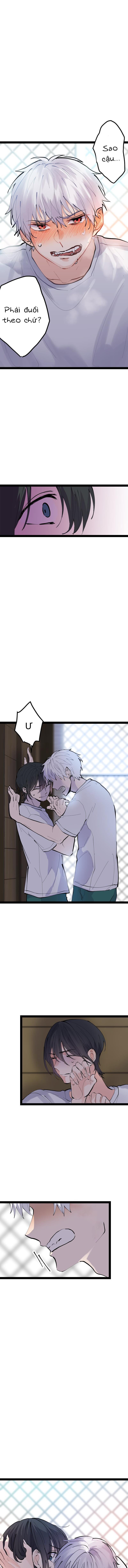 Đọc truyện Cậu Là Ma Cà Rồng Dưới Ánh Mặt Trời - Chapter 4