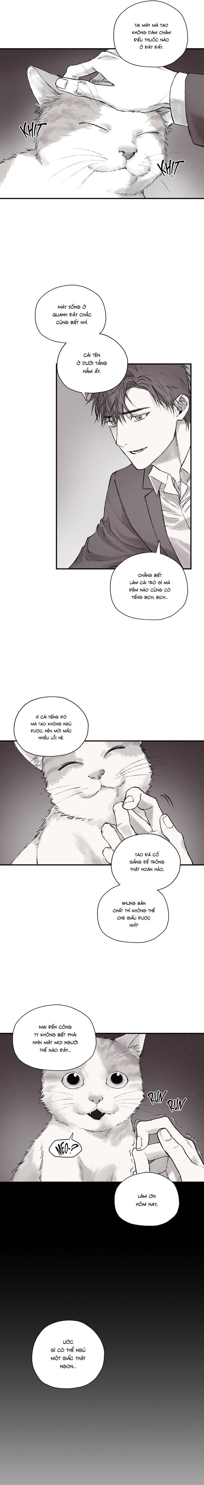 Đọc truyện Gã Đàn Ông Dưới Căn Hầm Đang Bị Giam Cầm Trong Phòng Tôi - Chapter 1