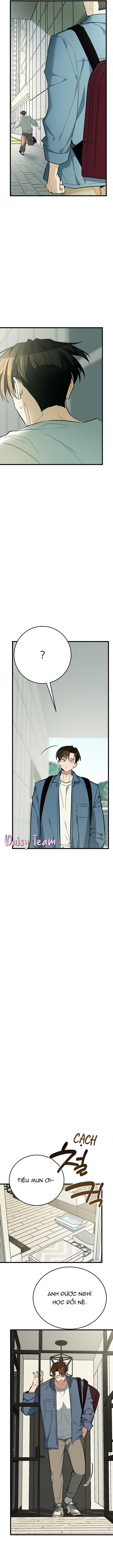 Đọc truyện (Daisy) Sinh mèo con cho tôi mau trước khi thằng này điên lên - Chapter 9