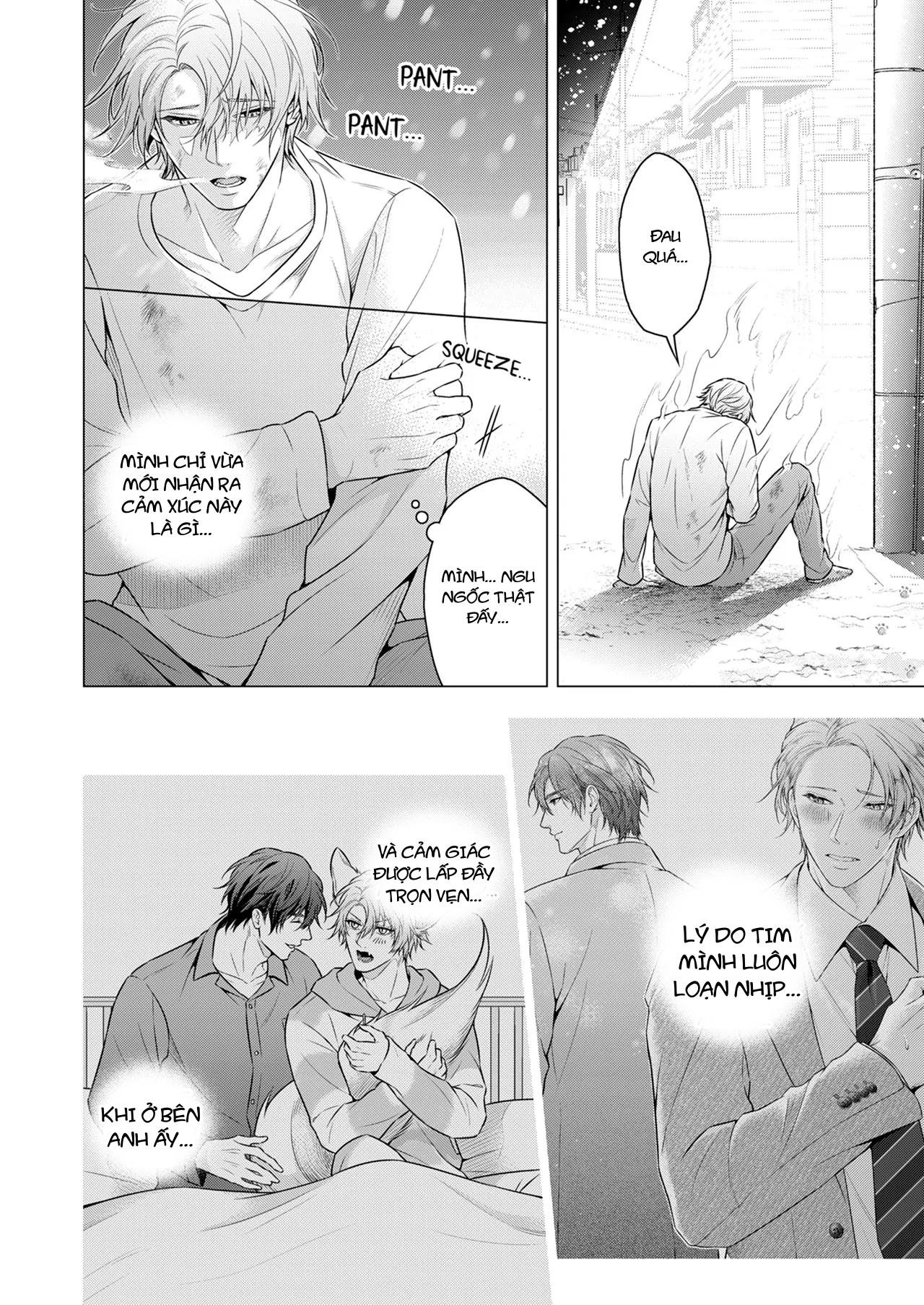 Đọc truyện Ái tình hoang dại của một con thú đội lốt quý ông - Chapter 15